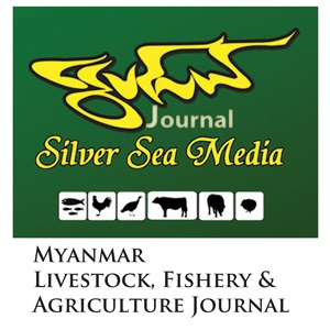 SS logo 2019 300x300